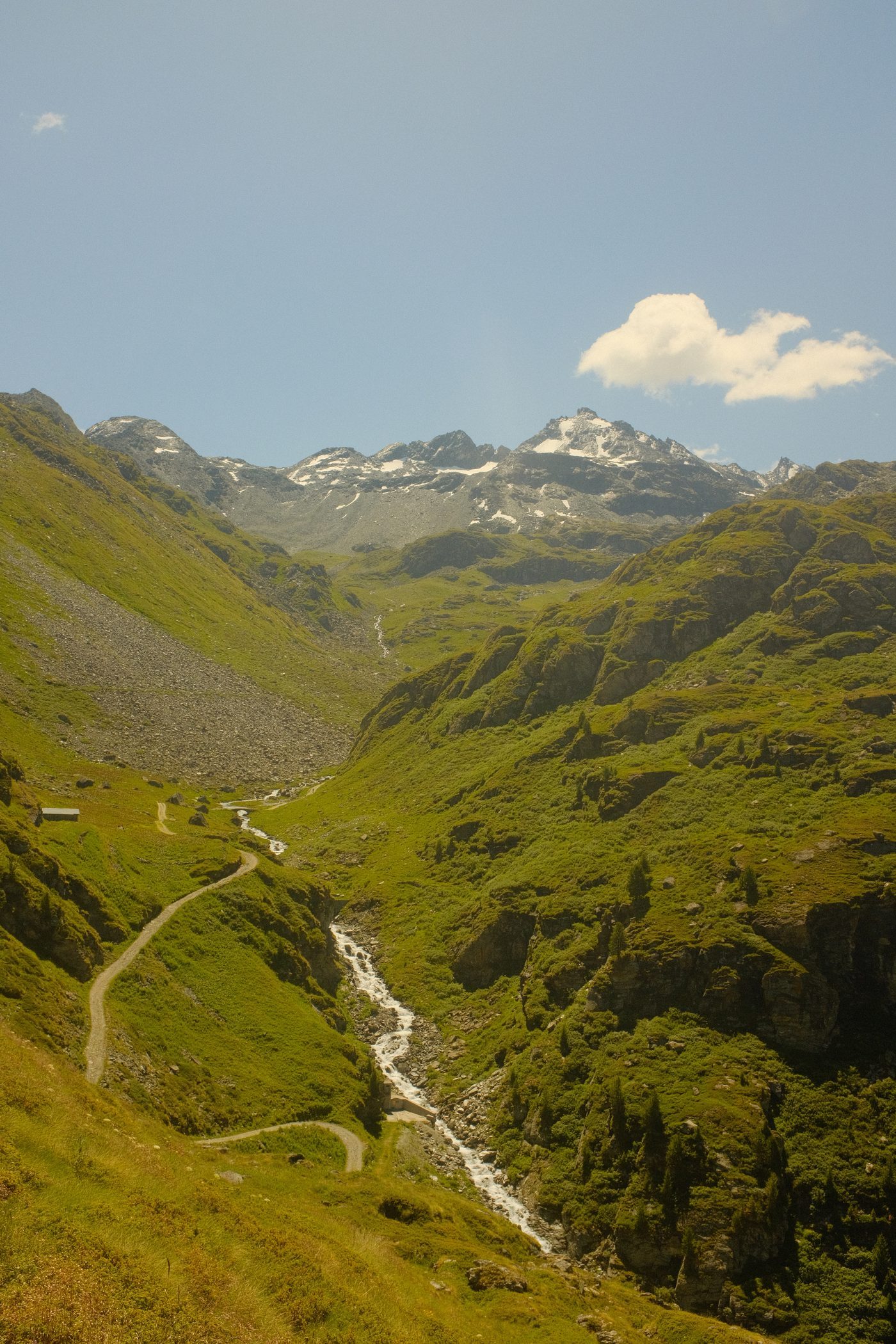 A stream cuts through