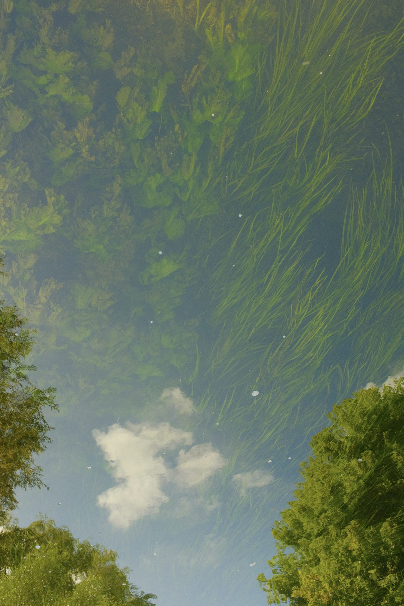 Sky in the water