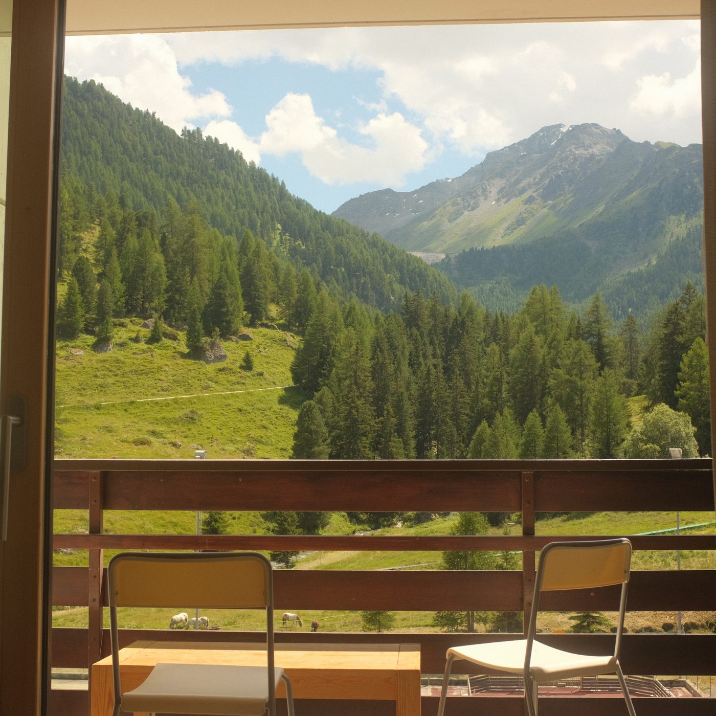Summer view from the balcony of Rosablanche C34